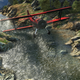 Illustration for article titled Heres Another Hot New Batch Of emGrand Theft Auto V/em Screenshots
